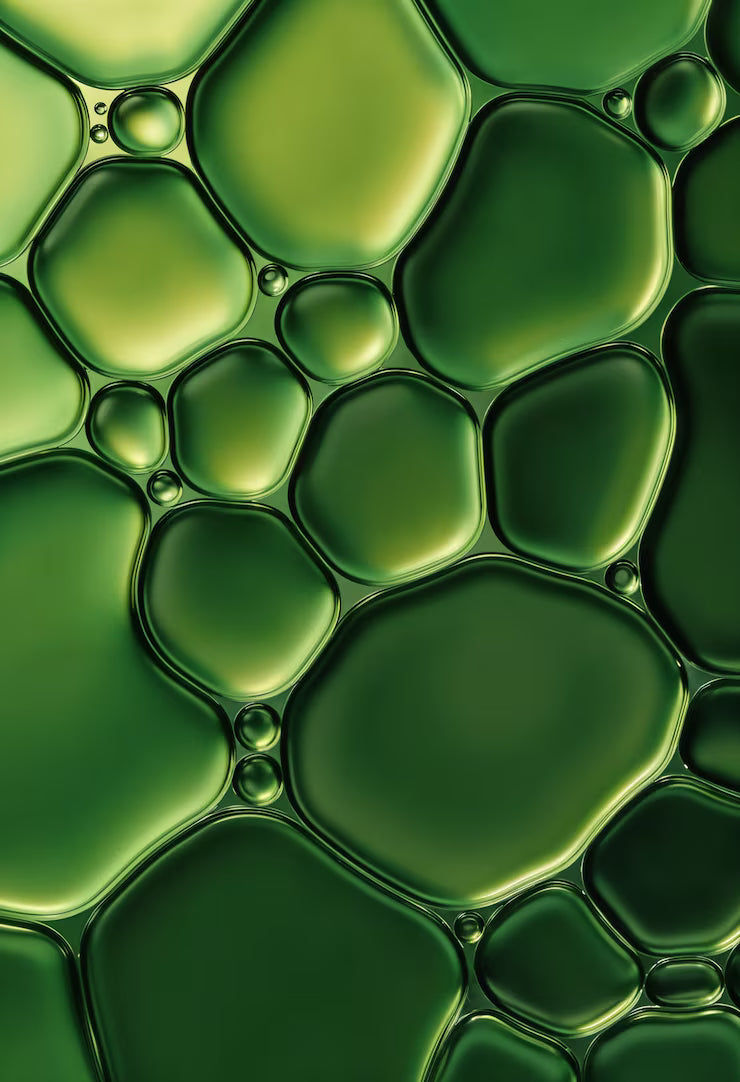 Hormonelle Balance beginnt tiefer, als du denkst.